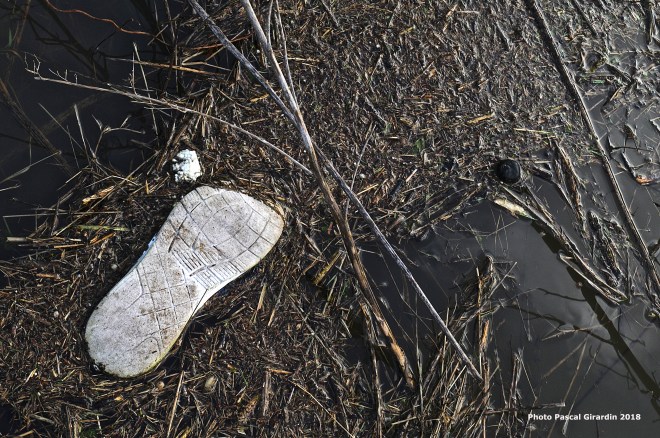 L'empreinte de l'homme