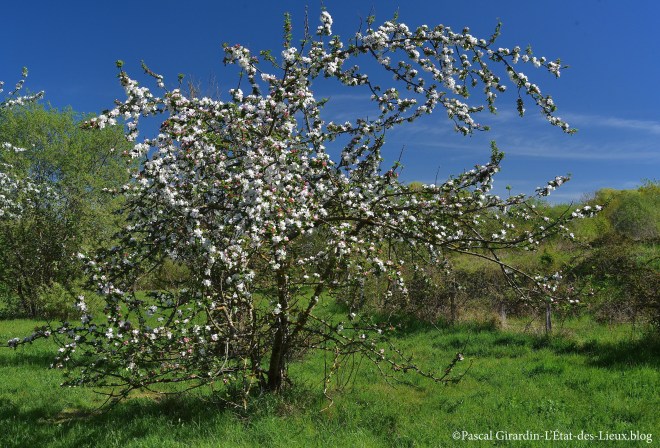 DSC_8796 copie copie