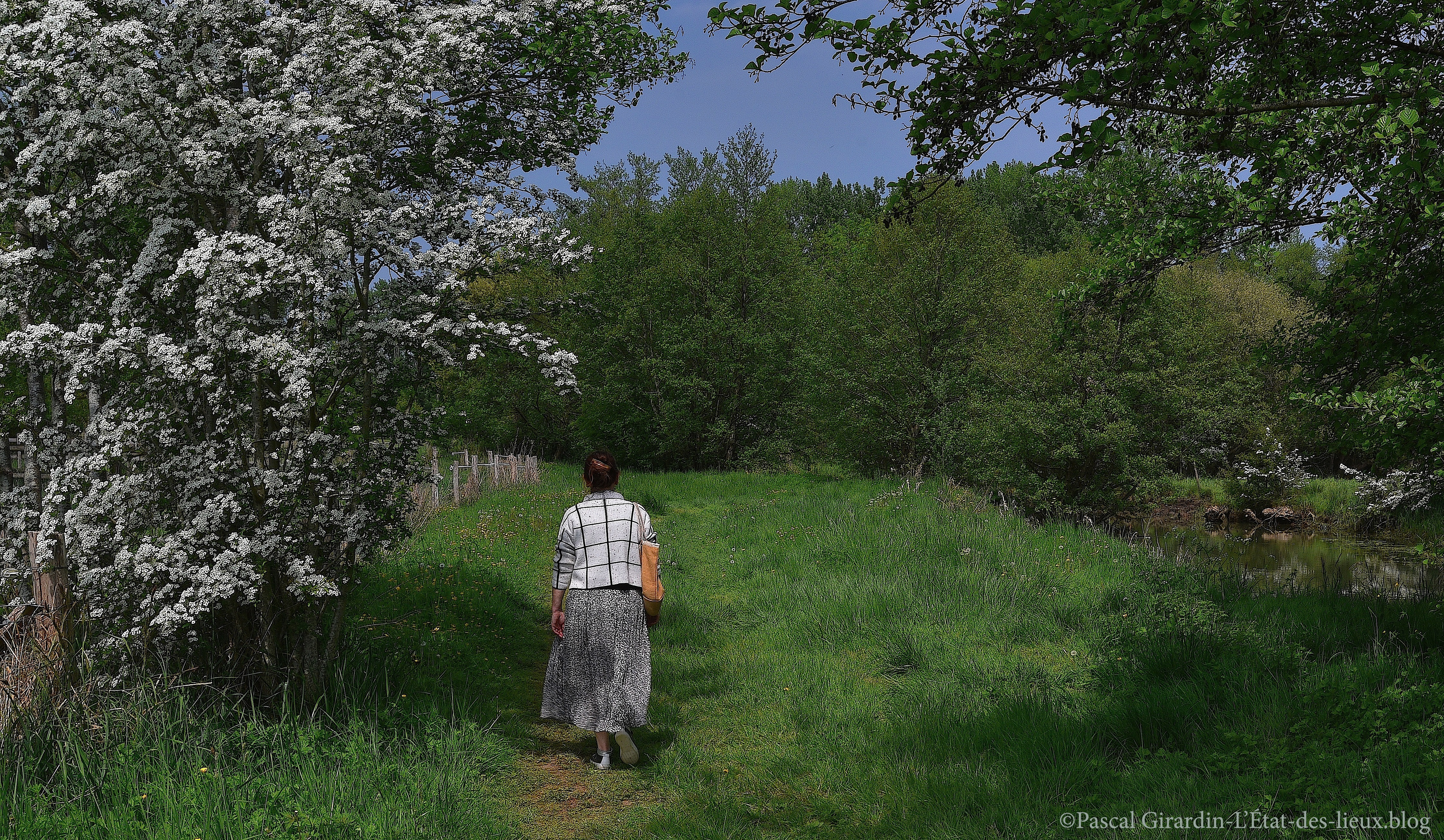 DSC_9028 copie copie