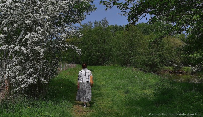 DSC_9028 copie copie