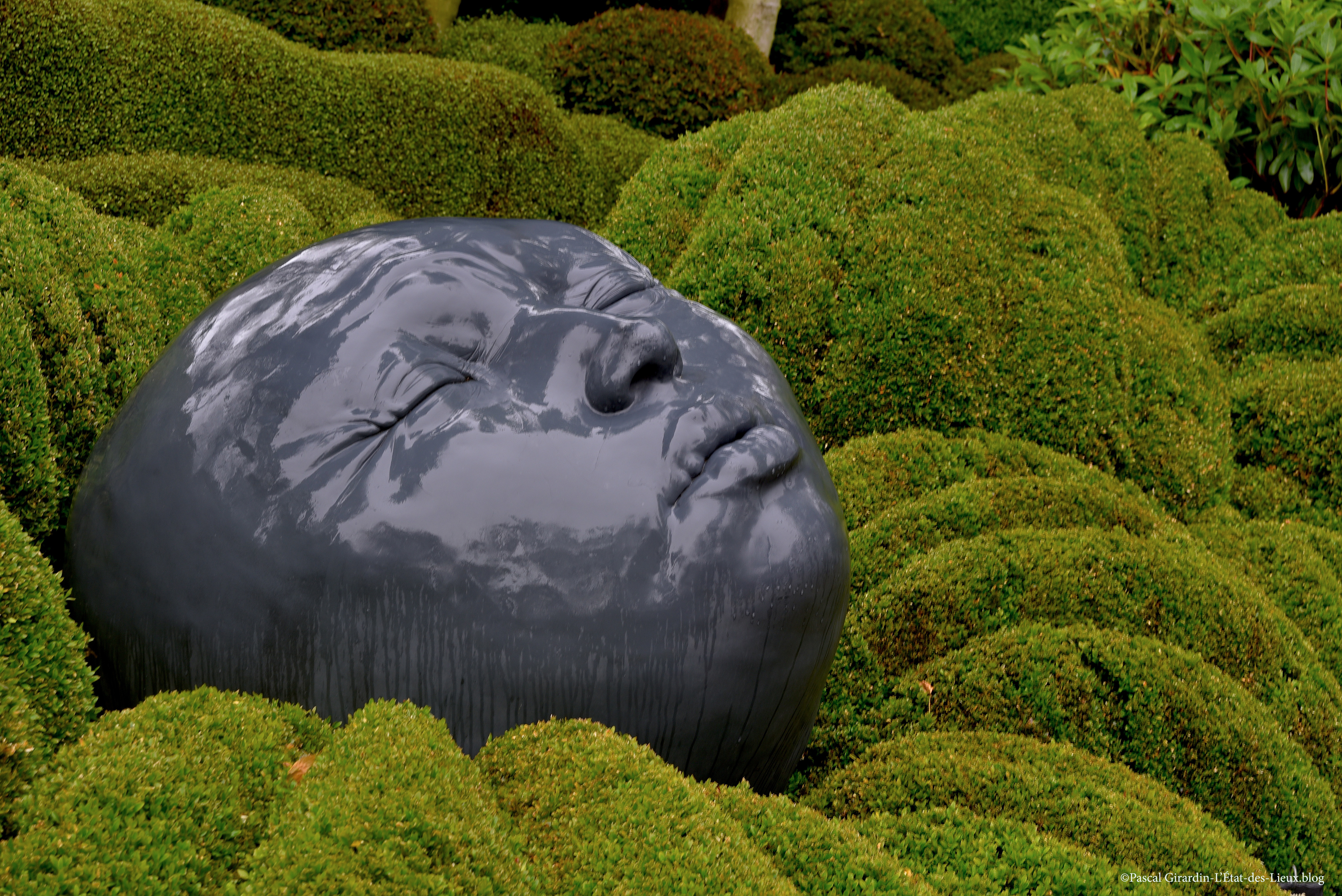 DSC_9759 copie copie