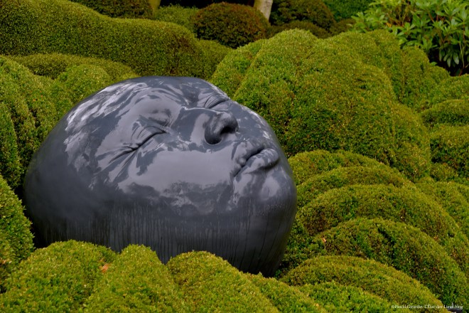 DSC_9759 copie copie