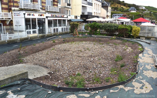 DSC_9815 copie copie