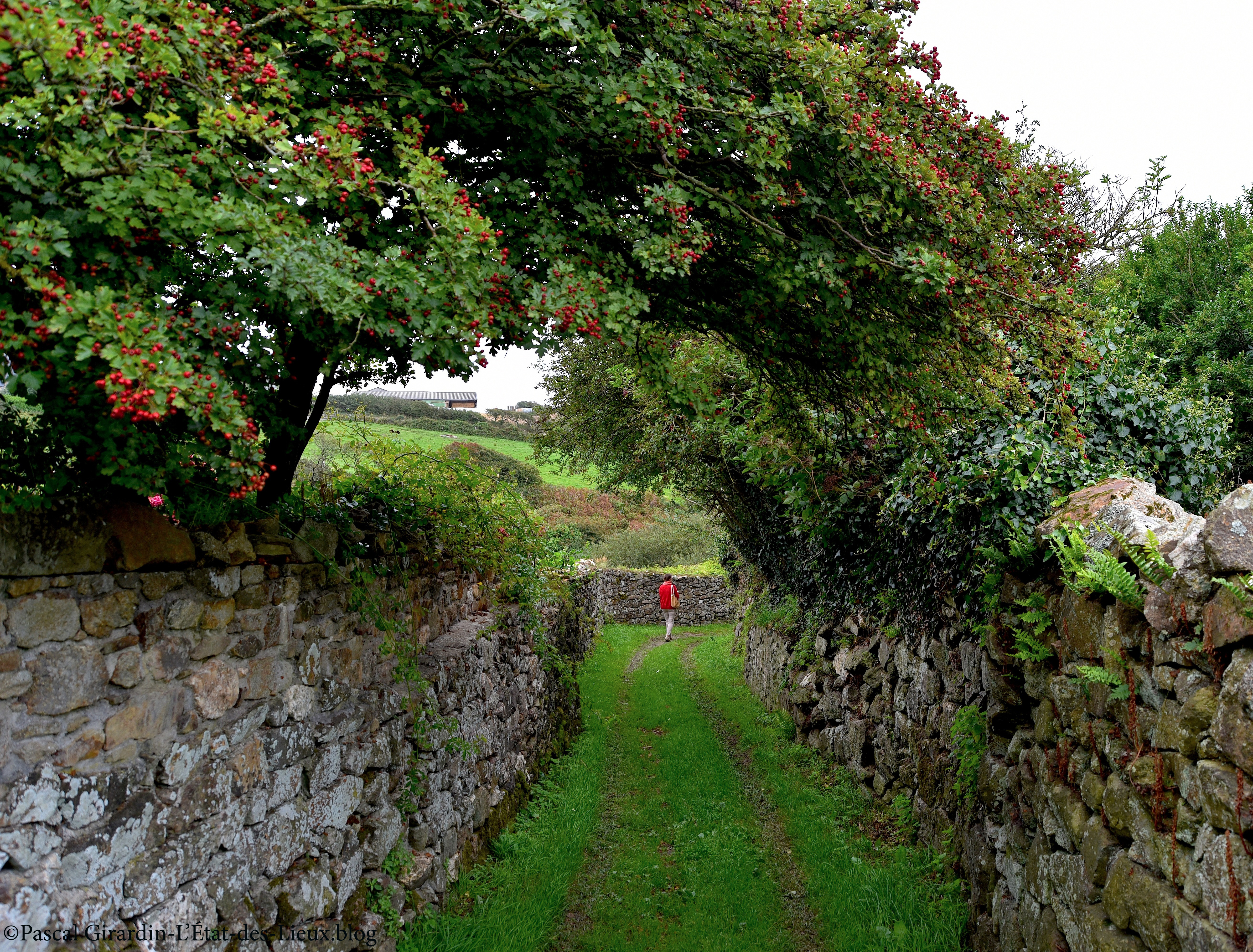 Une porte vers ailleurs