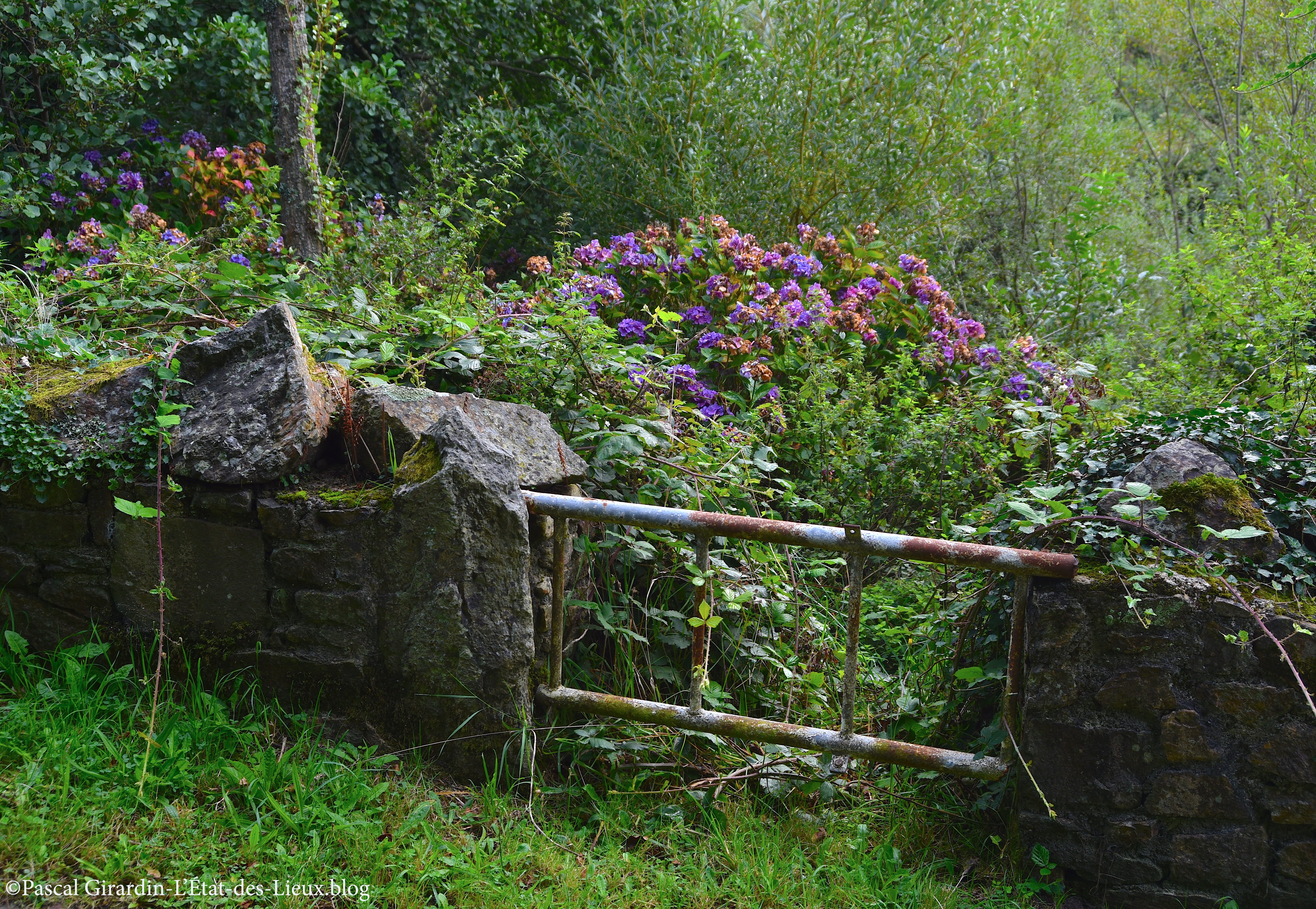 Herqueville-Manche-Anciens jardins